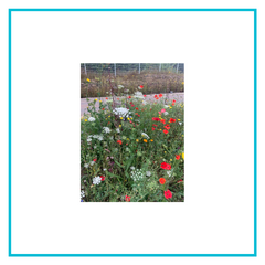 image for group